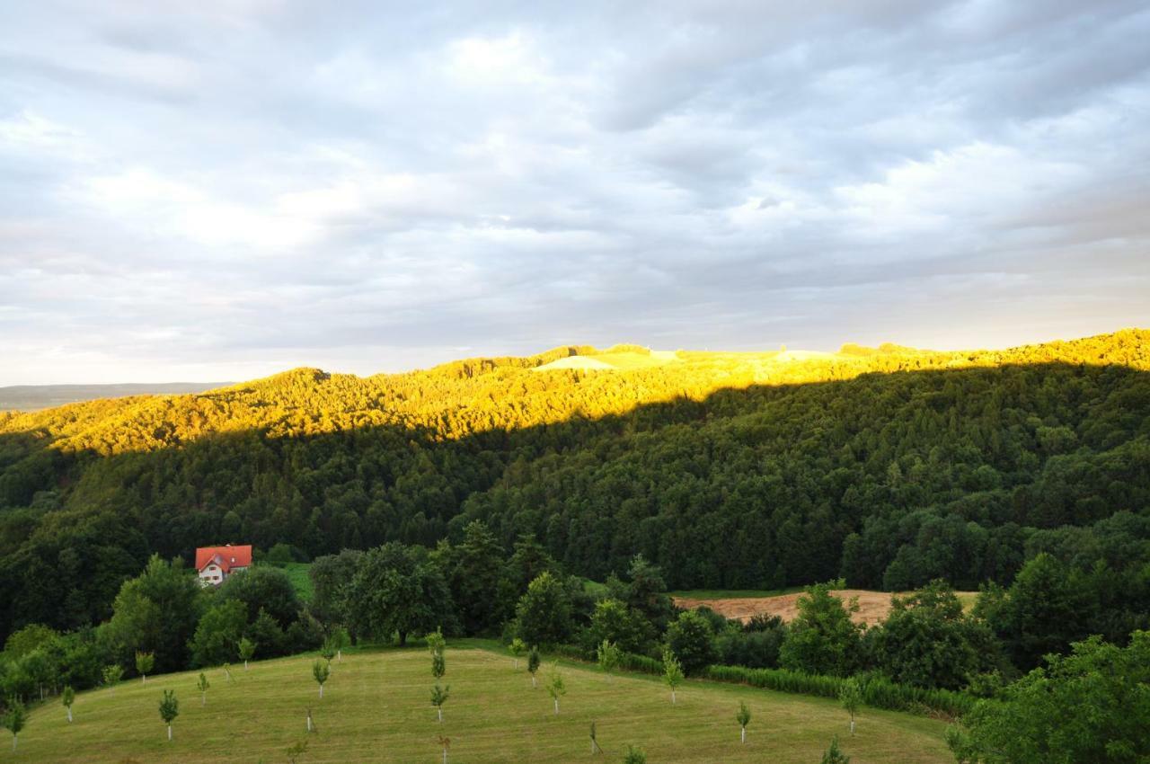 S' Kellerstoeckl Villa Fürstenfeld Buitenkant foto