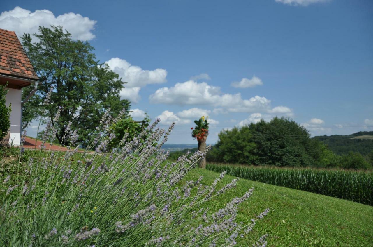 S' Kellerstoeckl Villa Fürstenfeld Buitenkant foto